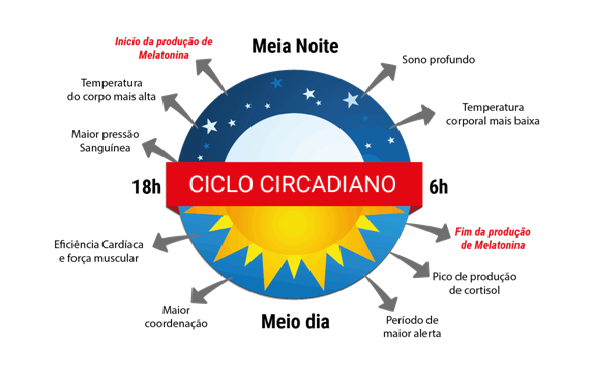 ciclo.png
